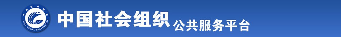 大鸡巴插阴道的视频推荐全国社会组织信息查询